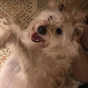 Meet your Posher, Erika